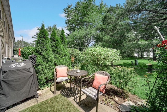 375 Glen Byrn Ct Unit 9375A, Schaumburg, IL 60194 - photo 20