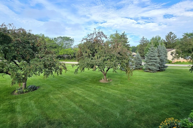 5145 Coventry Ln Unit 6C2, Gurnee, IL 60031 - photo 18
