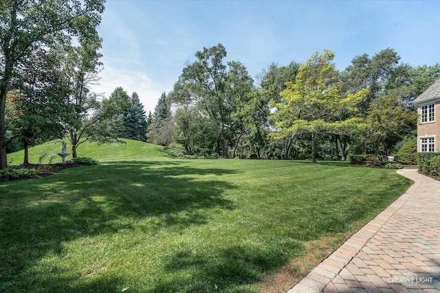 2605 35th St, Oak Brook, IL 60523 - photo 48