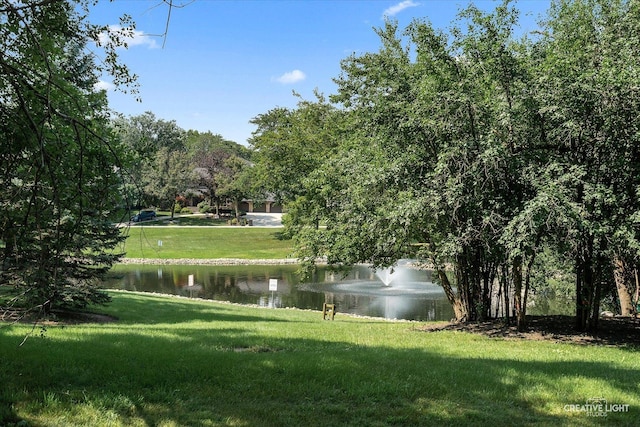2605 35th St, Oak Brook, IL 60523 - photo 49