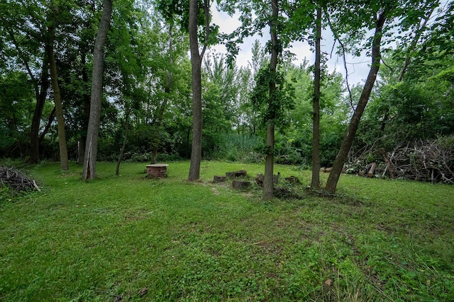 42782 N Lake Ave, Antioch, IL 60002 - photo 34
