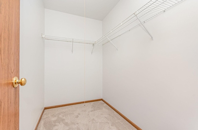 265 Hickory Oaks Dr, Bolingbrook, IL 60490 - photo 14