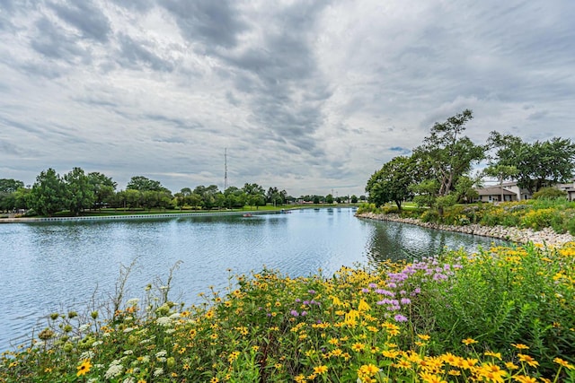 225 Barcliffe Ln Unit 225, Schaumburg, IL 60194 - photo 19