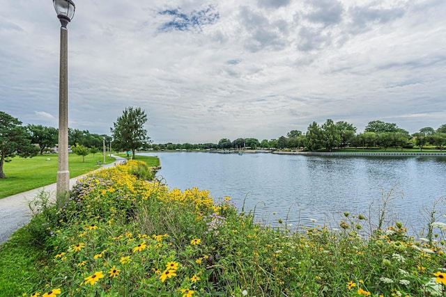 225 Barcliffe Ln Unit 225, Schaumburg, IL 60194 - photo 20