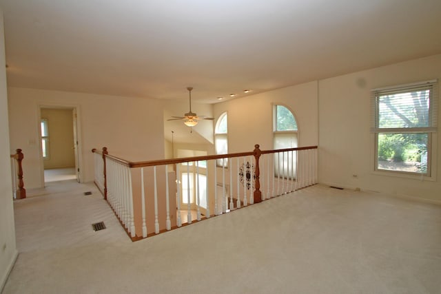 1254 Tracie Dr, Lake Zurich, IL 60047 - photo 32