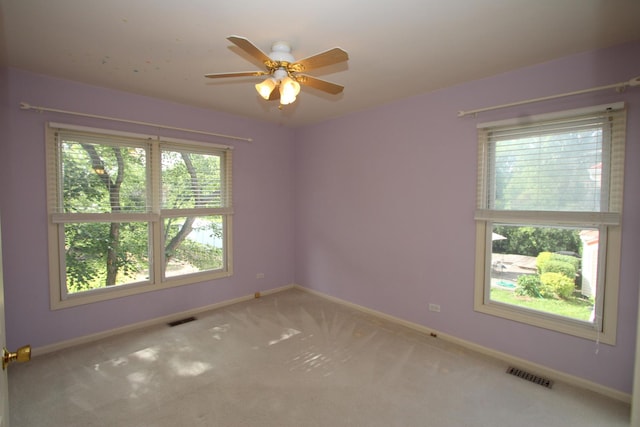 1254 Tracie Dr, Lake Zurich, IL 60047 - photo 39