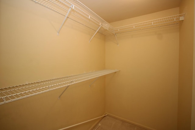 1254 Tracie Dr, Lake Zurich, IL 60047 - photo 45