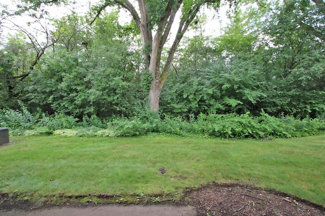 1175 Hunters Ln, Lake Zurich, IL 60047 - photo 33