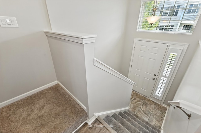 1088 Piccolo Ln, Volo, IL 60073 - photo 4