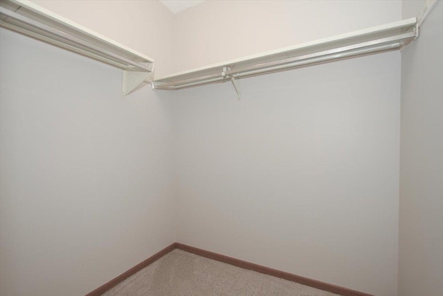 1611 W Partridge Ct Unit 8, Arlington Heights, IL 60004 - photo 16