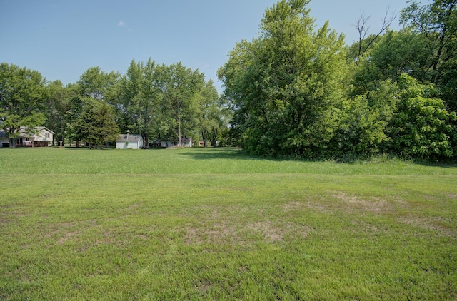 382 W 3rd St, Braidwood, IL 60408 - photo 32
