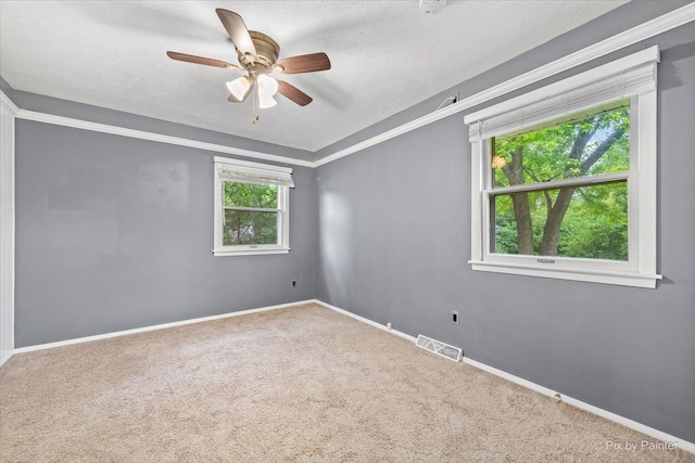 210 Simpson St, Geneva, IL 60134 - photo 18