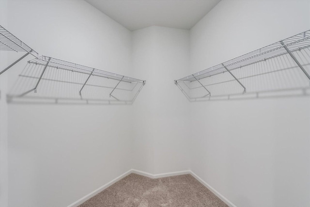 38 Tournament Dr, Hawthorn Woods, IL 60047 - photo 21