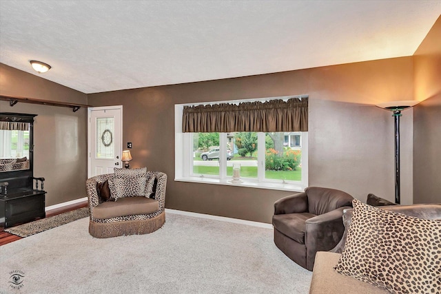 5915 Pershing Ave, Downers Grove, IL 60516 - photo 3