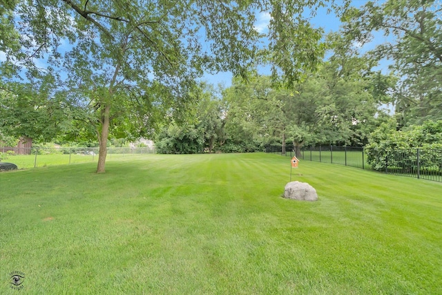 5915 Pershing Ave, Downers Grove, IL 60516 - photo 26