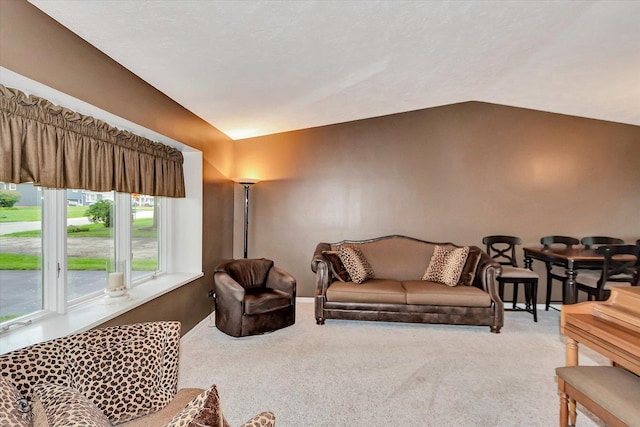 5915 Pershing Ave, Downers Grove, IL 60516 - photo 4