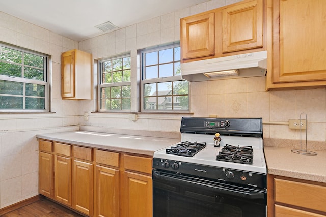 2138 Green Bridge Ln, Hanover Park, IL 60133 - photo 23