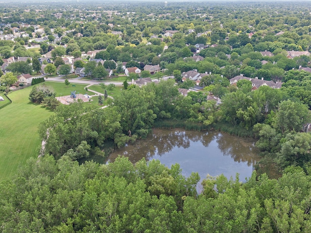 2138 Green Bridge Ln, Hanover Park, IL 60133 - photo 39
