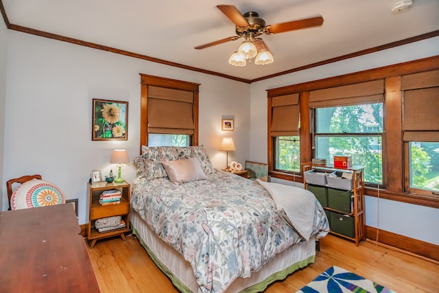 812 S Maple Ave, Oak Park, IL 60304 - photo 20