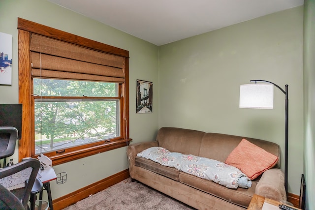 812 S Maple Ave, Oak Park, IL 60304 - photo 22