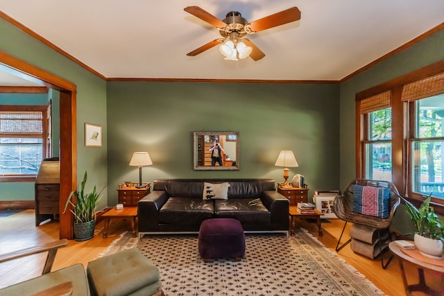 812 S Maple Ave, Oak Park, IL 60304 - photo 10
