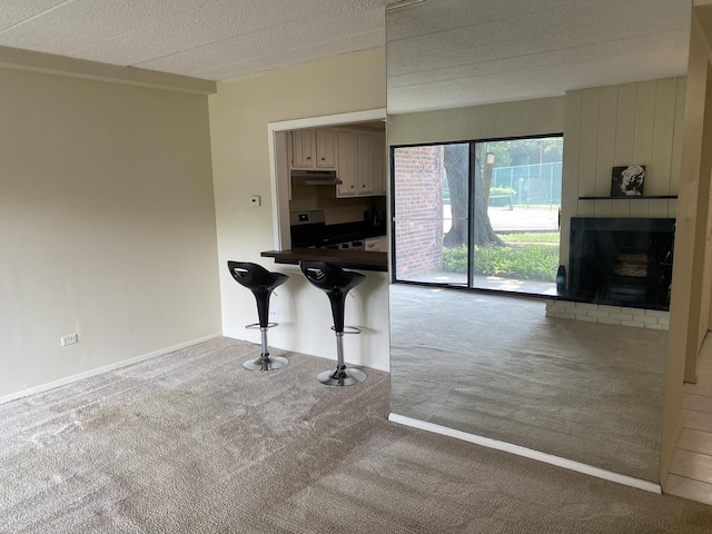 14505 Central Ct Unit G-3, Oak Forest, IL 60452 - photo 12