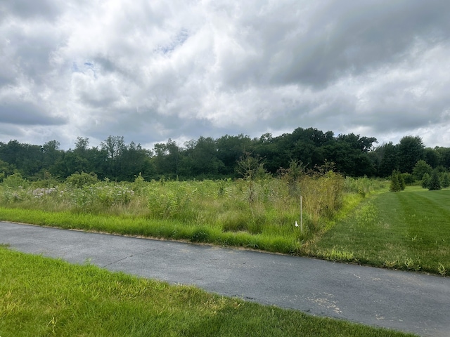 5048 Smokethorn Trl, Belvidere, IL 61008 - photo 2