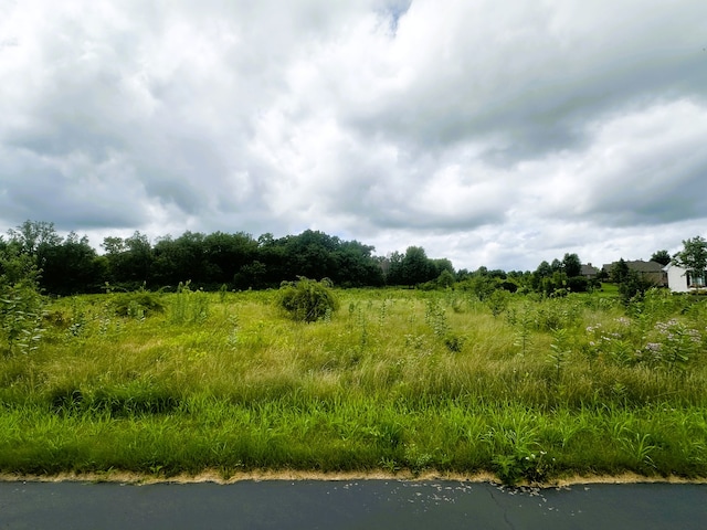 5048 Smokethorn Trl, Belvidere, IL 61008 - photo 3