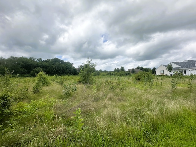 5048 Smokethorn Trl, Belvidere, IL 61008 - photo 9