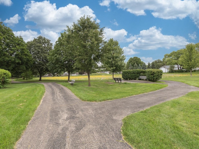 735 Weidner Rd Unit 145A1, Buffalo Grove, IL 60089 - photo 25