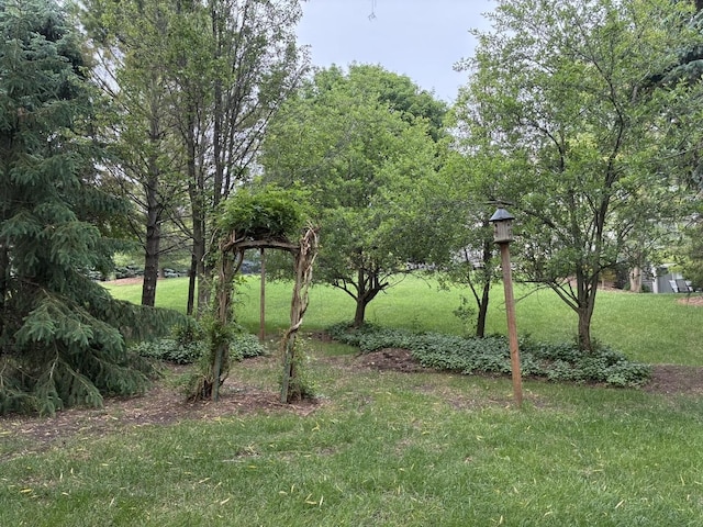 1055 White Pine Dr, Cary, IL 60013 - photo 36