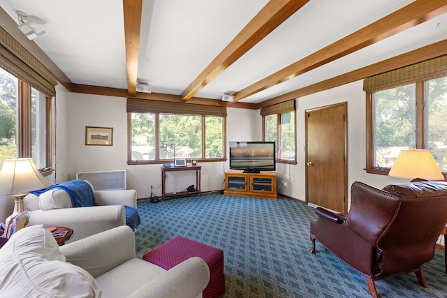 43W836 Hughes Rd, Elburn, IL 60119 - photo 5