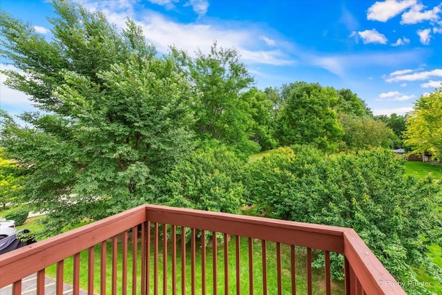 541 Fox Ridge Dr Unit 541, Fox Lake, IL 60020 - photo 19