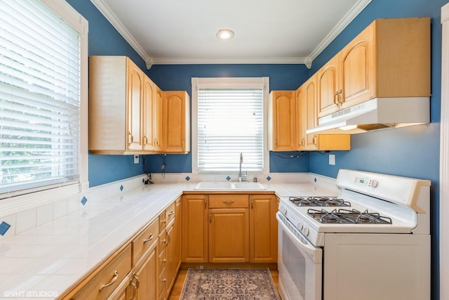 13121 S Muskegon Ave, Chicago, IL 60633 - photo 4