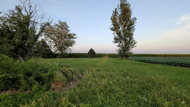 1146 N 10th Rd, Streator, IL 61364 - photo 27