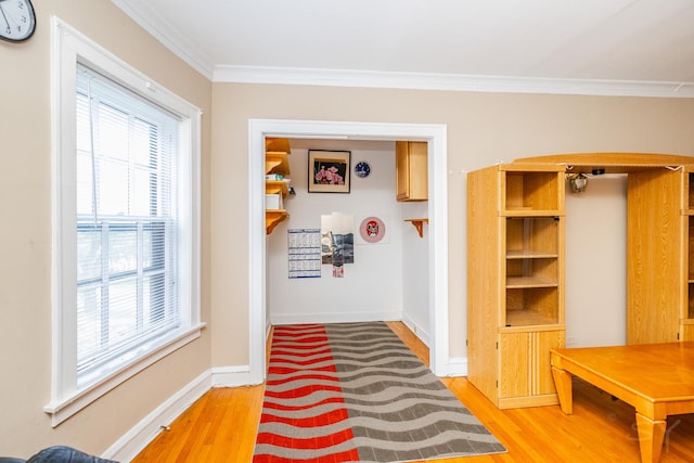 356 Ridge Ave Unit 6-2, Evanston, IL 60202 - photo 4