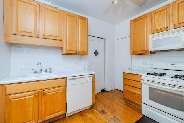 356 Ridge Ave Unit 6-2, Evanston, IL 60202 - photo 8