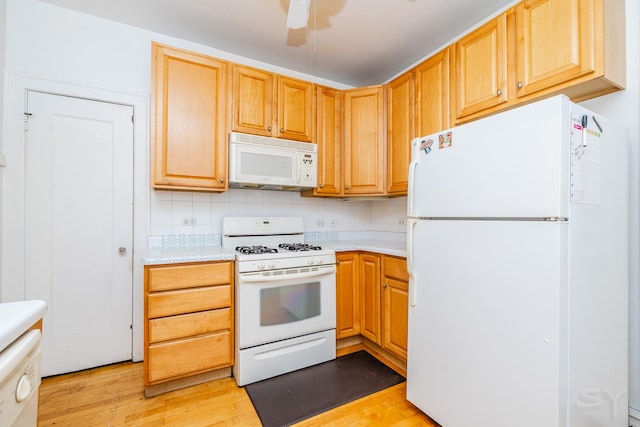 356 Ridge Ave Unit 6-2, Evanston, IL 60202 - photo 9