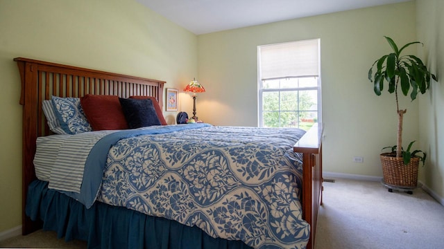 107 W Hampton Ct, Round Lake, IL 60073 - photo 28