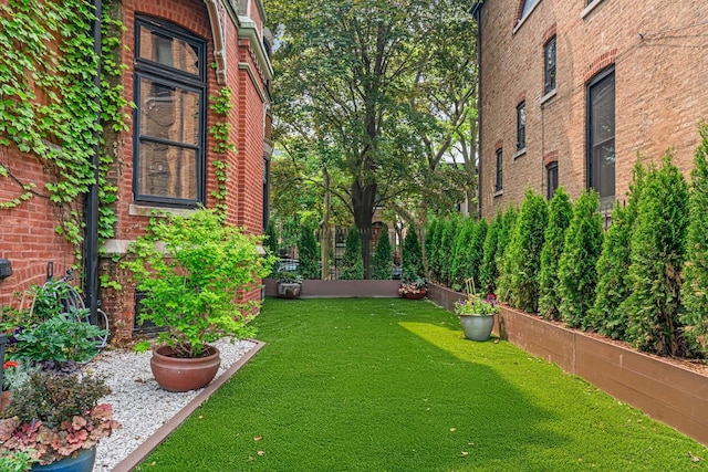 2138 W Caton St, Chicago, IL 60647 - photo 38