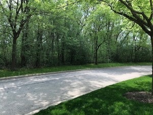 LOT23 Wedgewood Dr, Lake Forest, IL 60045 - photo 4