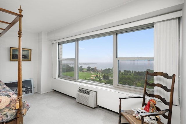 3600 N Lake Shore Dr Unit 1701, Chicago, IL 60613 - photo 16