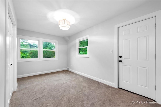 918 Delles Rd, Wheaton, IL 60189 - photo 19