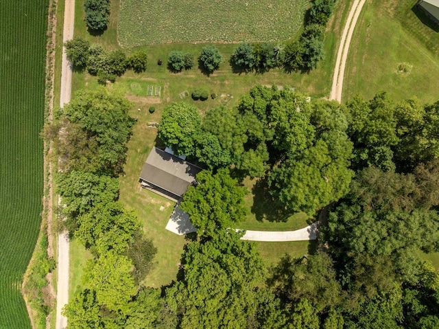 15938 E 550 N Rd, Heyworth, IL 61745 - photo 2