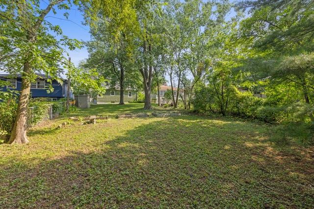 1741 Pine Rd, Homewood, IL 60430 - photo 18