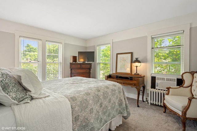315 W Lincoln Ave, Barrington, IL 60010 - photo 10
