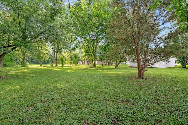 4750 181st St, Country Club Hills, IL 60478 - photo 18