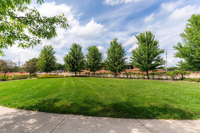 119 E Railroad Ave, Bartlett, IL 60103 - photo 4