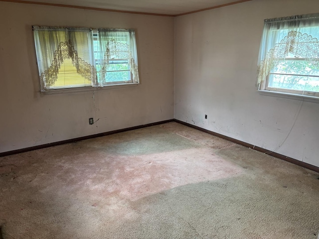 1010 Helen Ave, Joliet, IL 60433 - photo 8