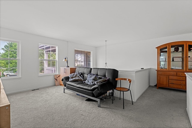 1314 Danhof Dr, Bolingbrook, IL 60490 - photo 14